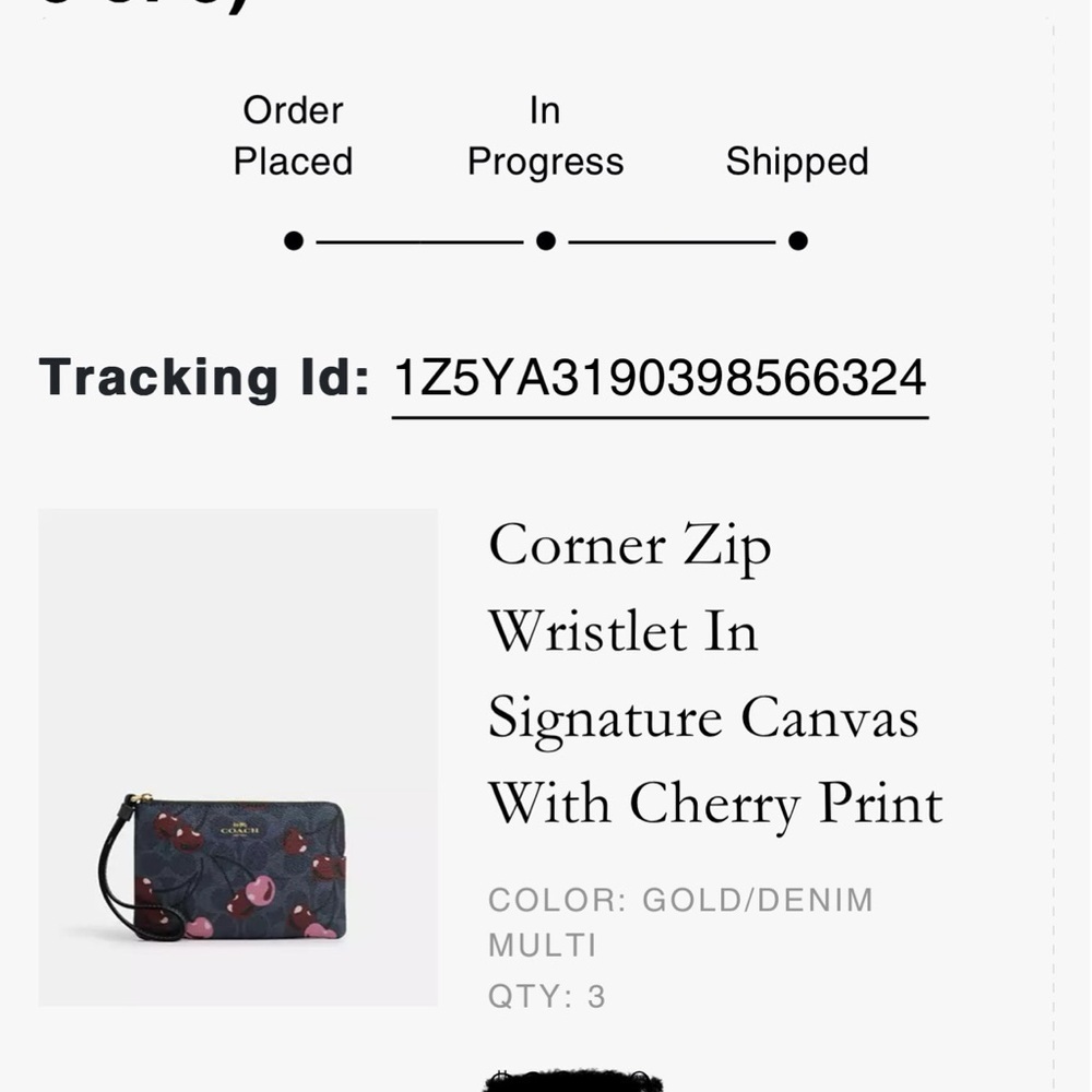 🍒NWT COACH Corner Zip Wristlet Blue Signature Canvas Cherry Print AUTHENTIC - Picture 5 of 8